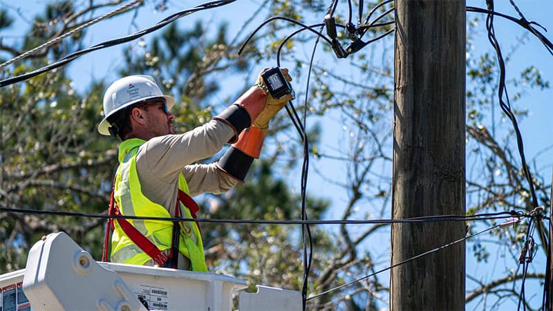 Restoration efforts